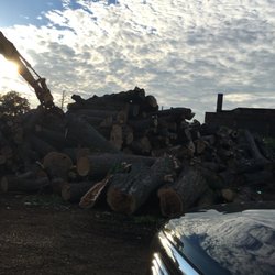 Cleveland Tree and Stump