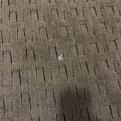 Red Roof Inn - mystery substance on carpet