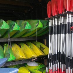 Biesboschcentrum Dordrecht - Kayaks and canoes and boats for rent