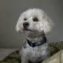Photo of Happy Tails Retreat