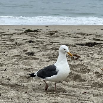 Aliso Beach - Parks Near Me - Laguna Beach, California