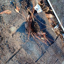 Roy's Roof Repair