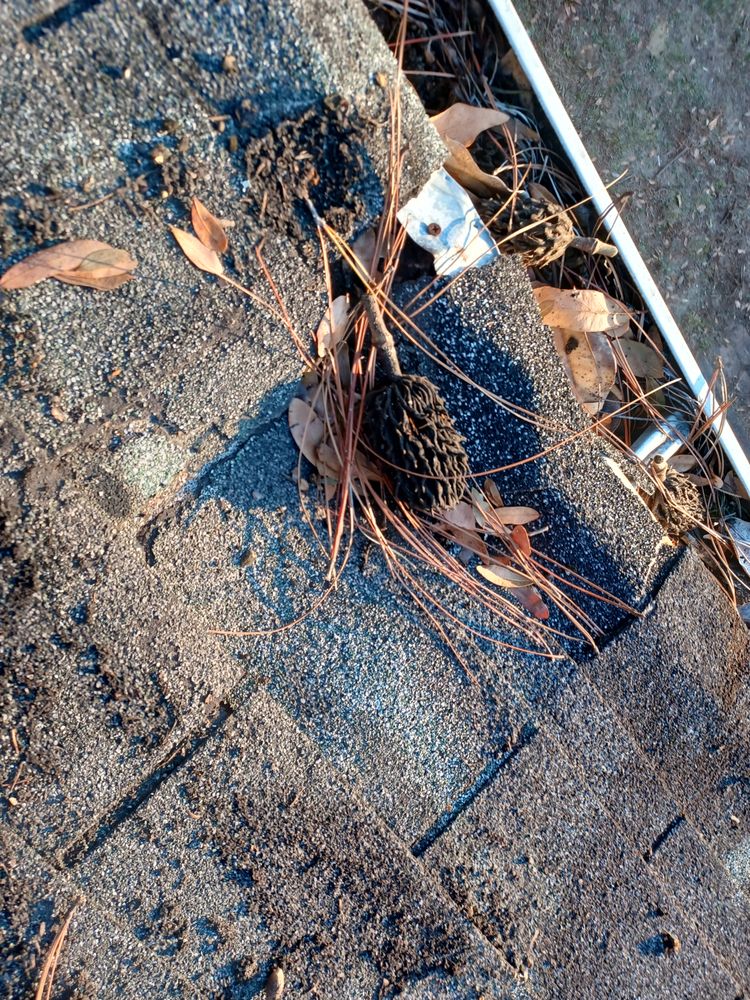 Slide of Roy's Roof Repair