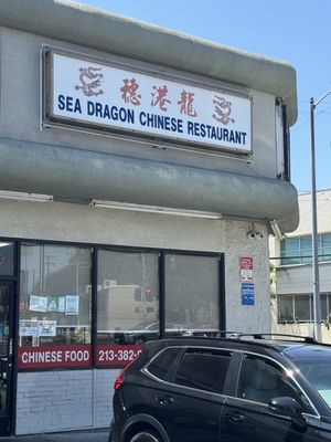 Sea Dragon by null