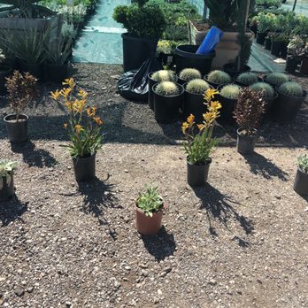 Ricardo's Nursery - Visual provided to understand how to plant. - Nurseries & Gardening Near Me - Long Beach, California Ricardo's Nursery - Visual provided to understand how to plant. - Nurseries & Gardening Near Me - Long Beach, California