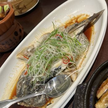 Taste of China - Steam fish - Chinese Near Me - Katy, Texas Taste of China - Steam fish - Chinese Near Me - Katy, Texas