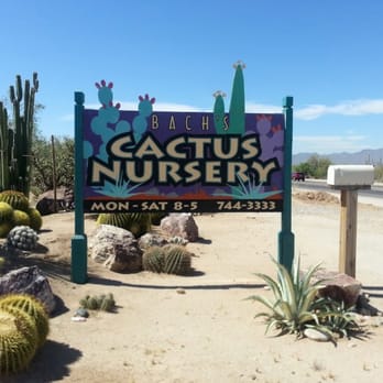 Bach's Cactus Nursery - Nurseries & Gardening Near Me - Tucson, Arizona