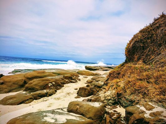 Windansea Beach by null