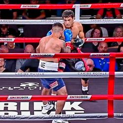 UNDISPUTED BOXING CHAMPIONSHIP