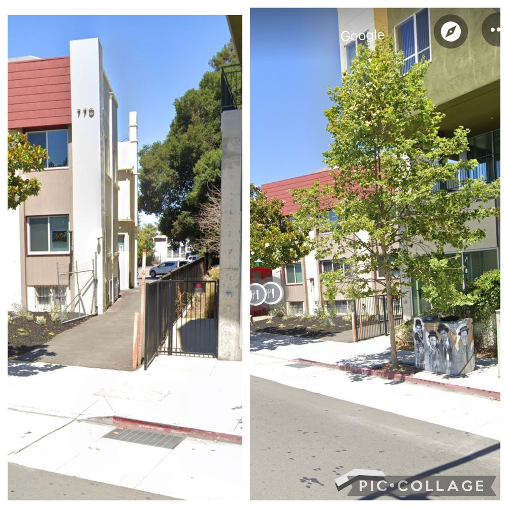 Waxing with Davonda  Logo