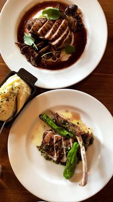 Clay Pigeon Food & Drink by null