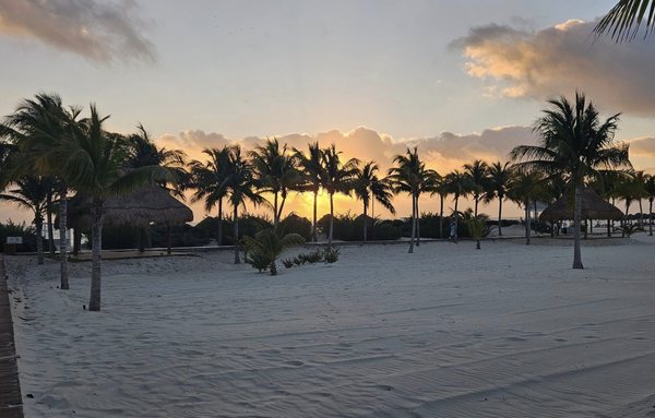 Majestic Elegance Costa Mujeres by null