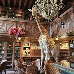Pharmacie Anglaise