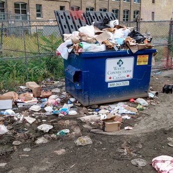 My Roti Place - This is My Roti Place's garbage. This is how little they respect their neighbors. This is how little they care for cleanliness. - Indian Near Me - Toronto, Ontario My Roti Place - This is My Roti Place's garbage. This is how little they respect their neighbors. This is how little they care for cleanliness. - Indian Near Me - Toronto, Ontario