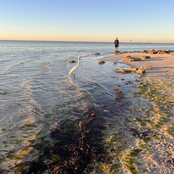 Emerson Point Park - Parks Near Me - Palmetto, Florida