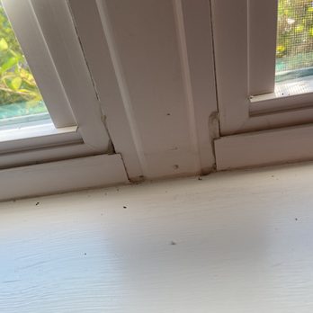 Two Maids - Orlando - Didn't touch the window sills at all in 2 cleanings. - Home Cleaning Near Me - Orlando, Florida Two Maids - Orlando - Didn't touch the window sills at all in 2 cleanings. - Home Cleaning Near Me - Orlando, Florida