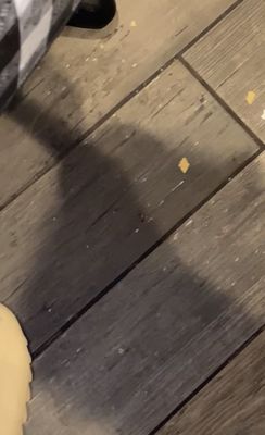 Taco More - Austin by null