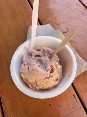 Hurry Back Ice Cream by null