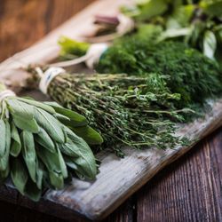 Monterey Bay Herb