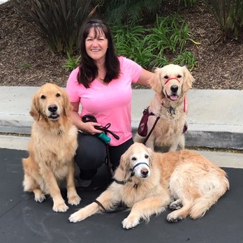 Richard Angell III DMD, MSD - Endodontists Near Me - Newport Beach, California Richard Angell III DMD, MSD - Endodontists Near Me - Newport Beach, California