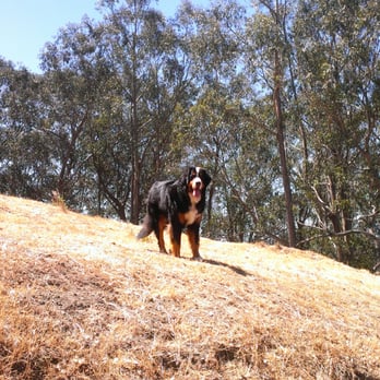 Hillside Natural Area - Happy & fun times! - Parks Near Me - El Cerrito, California