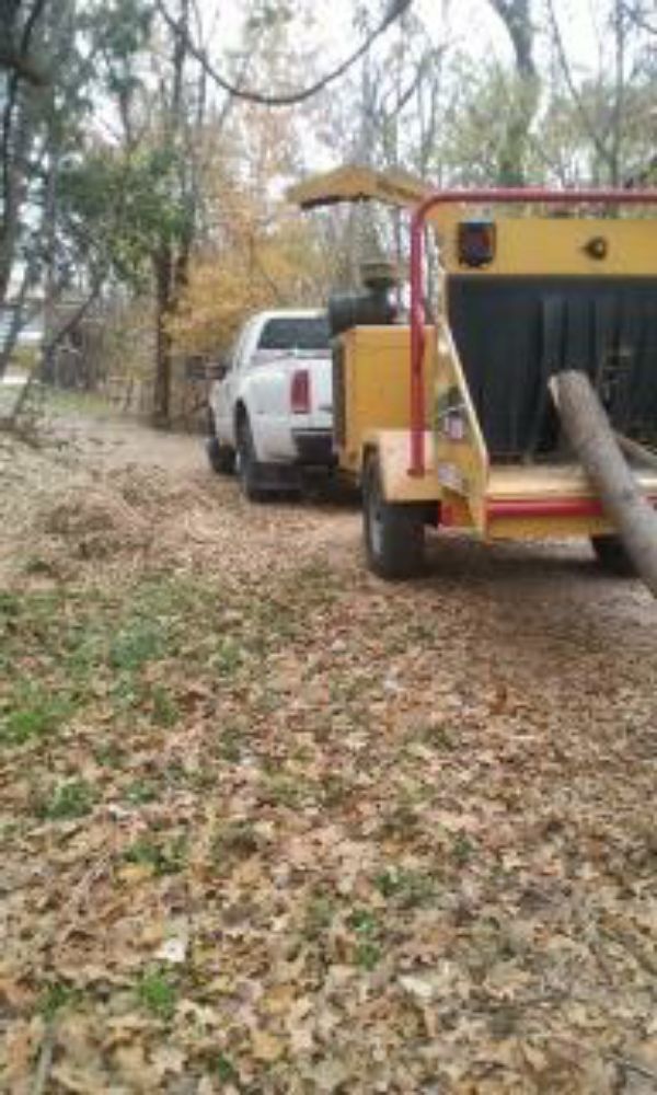 Slide of Flores Tree Service