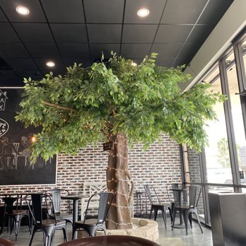 TeaFix - Coffee & Tea Near Me - Houston, Texas TeaFix - Coffee & Tea Near Me - Houston, Texas