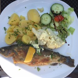 Gaststätte Waldhaus Am Denkmal - Die Forelle mit Salzkartoffeln und Salat