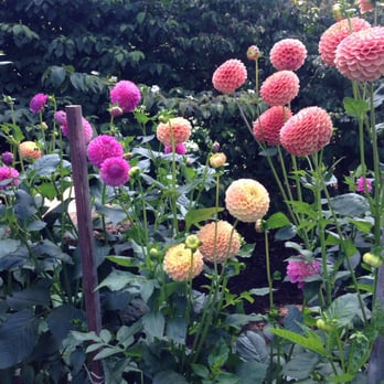 Volunteer Park - Parks Near Me - Seattle, Washington
