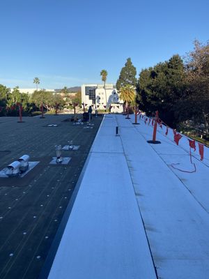 Green Ladder Roofing Logo