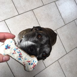 Dog treats were a big hit!