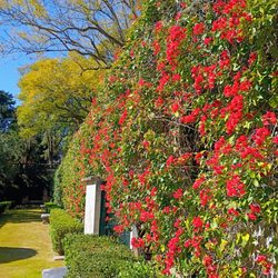 Jardim Botânico da Ajuda