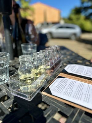 Apolloni Vineyards by null