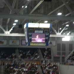Hofstra University