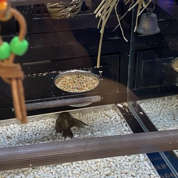 PetSmart - Pet Training Near Me - Los Angeles, California PetSmart - Pet Training Near Me - Los Angeles, California
