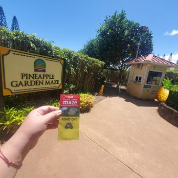 Dole Pineapple Garden Maze - Entrance to the Garden Maze. Make sure you get the time clock stamps for start and finish. - Botanical Gardens Near Me - Wahiawa, Hawaii Dole Pineapple Garden Maze - Entrance to the Garden Maze. Make sure you get the time clock stamps for start and finish. - Botanical Gardens Near Me - Wahiawa, Hawaii
