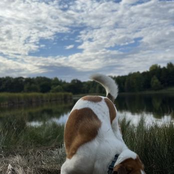 Lebanon Hills Regional Park - My dog (crackle) at lebon on hills - Parks Near Me - Eagan, Minnesota Lebanon Hills Regional Park - My dog (crackle) at lebon on hills - Parks Near Me - Eagan, Minnesota