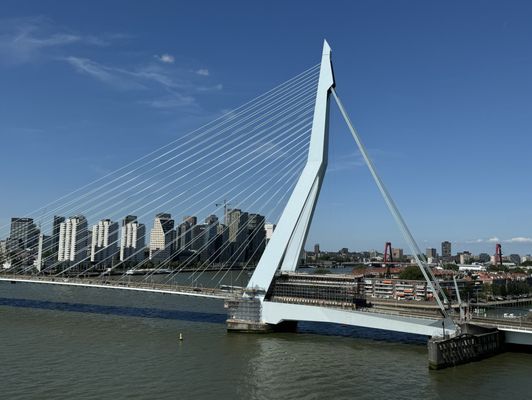 Cruise Terminal Rotterdam by null