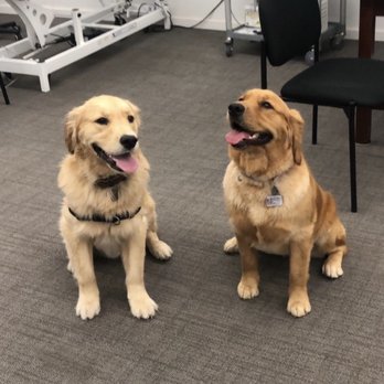 Lifestyle Physical Therapy - Office Manager - Fitz! - Physical Therapy Near Me - New York, New York