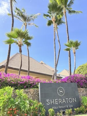 Sheraton Maui Resort & Spa by null