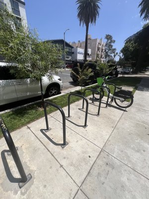 Treehouse Hollywood by null