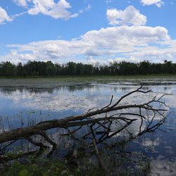 Parc National de Plaisance