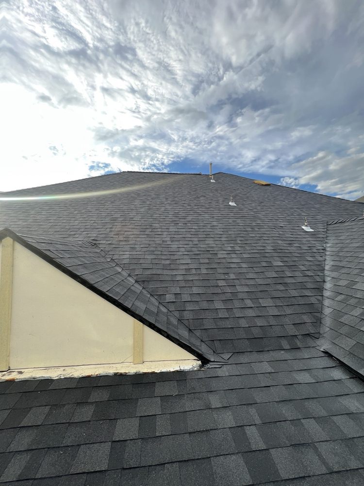 Slide of Paws and Build Construction