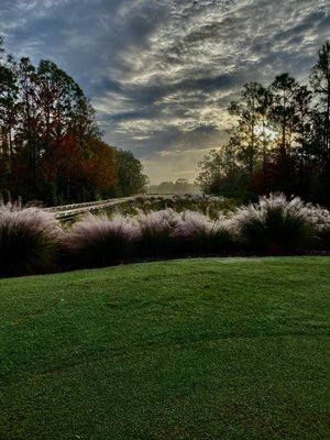 Tiburón Golf Club by null