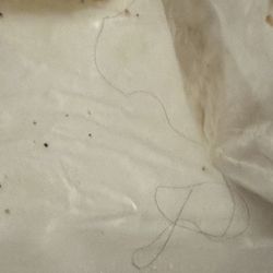 Italian Kitchen 521 - A hair was underneath my daughters sandwich. nothing was done to resolve the issue. would not recommend.
