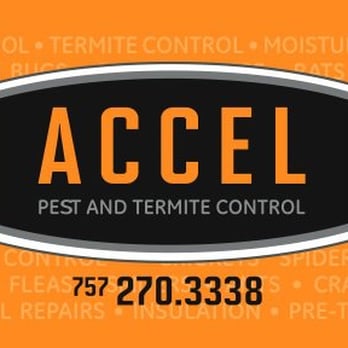 Accel Pest & Termite Control - Pest Control Near Me - Virginia Beach, Virginia Accel Pest & Termite Control - Pest Control Near Me - Virginia Beach, Virginia
