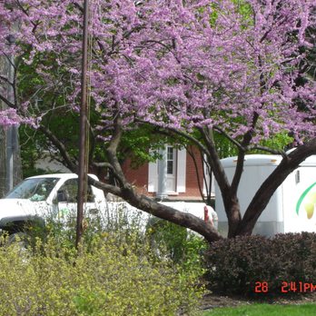 Sweeney's Custom Landscaping - a delivery truck parked in front of a house - Landscaping Near Me - Villa Park, Illinois