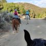 Photo of San Diego Horse Connection