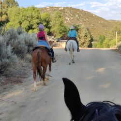 San Diego Horse Connection