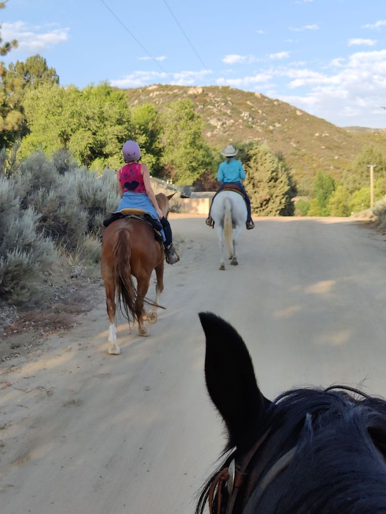 San Diego Horse Connection Logo